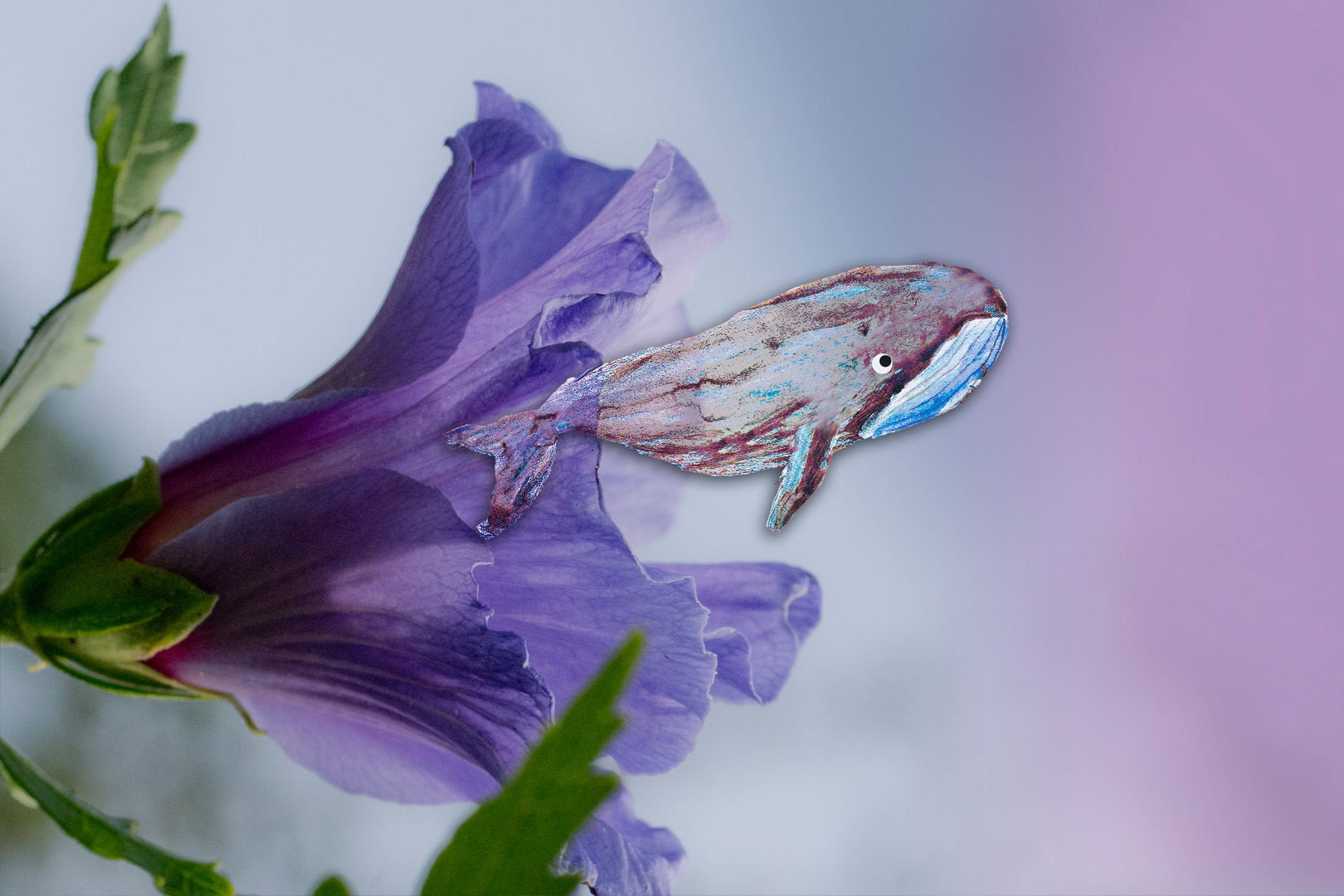 digital definieren Blumenfoto Blumenfreunde