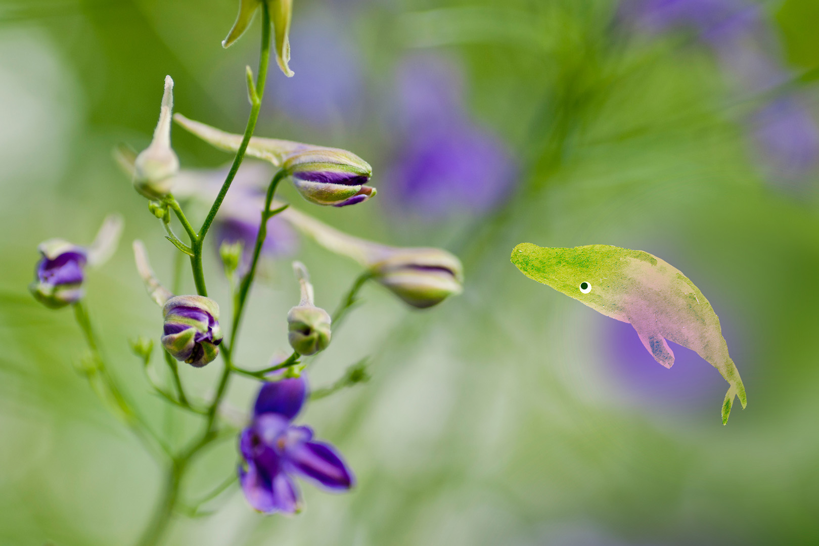 digital definieren Blumenfoto Blumenfreunde