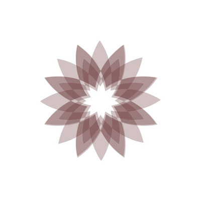 Barbara Fisahn digital definieren Muster Geometrie