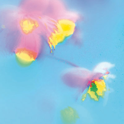 Barbara Fisahn digital definieren Blumen